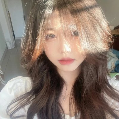 菜鸟囧探