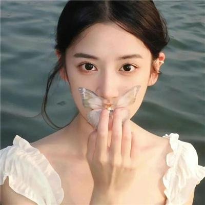 哈巴狗的回忆